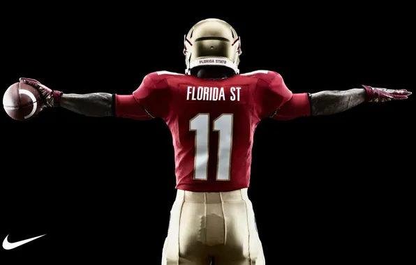 Florida State University Wallpapers 69 pictures