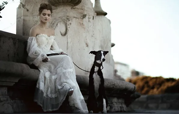 The city, dog, lady
