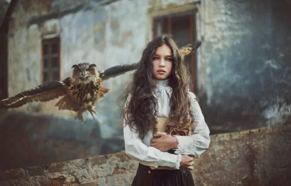Girl, house, owl, bird, books, girl, owl, teen