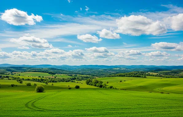 Field, the sky, clouds, mountains, background, Wallpaper, wallpaper, sky