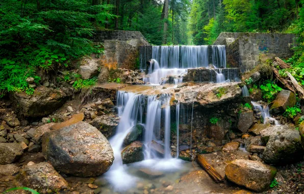Picture forest, trees, stones, waterfall, cascade