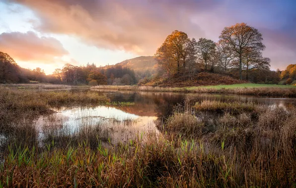 Picture autumn, trees, nature, reflection, river