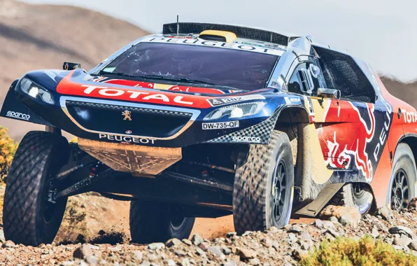 Sand, 2008, Sport, Speed, Race, Peugeot, Lights, Red Bull