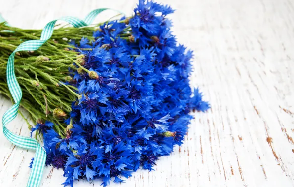 Picture flowers, blue, bouquet, tape, cornflowers, Olena Rudo