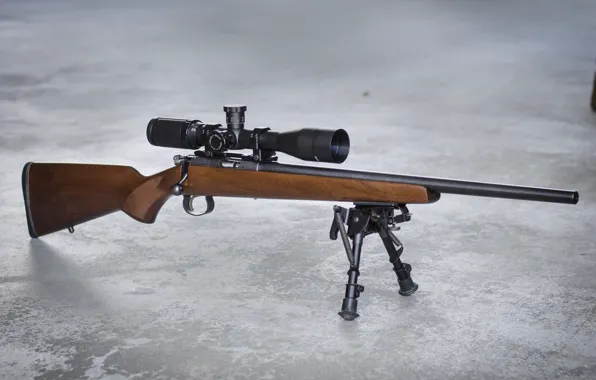 Optics, Rifle, fry, CZ 452
