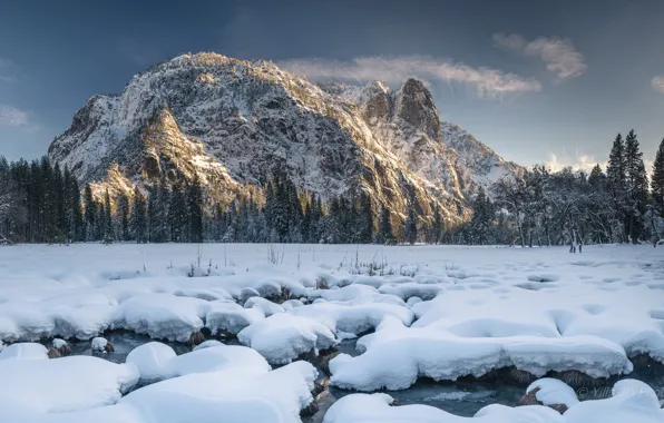 Picture winter, forest, snow, mountains, CA, California, Yosemite national Park, Yosemite National Park