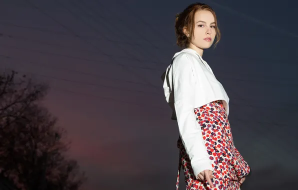 Trees, night, wire, dress, actress, jacket, hairstyle, photographer