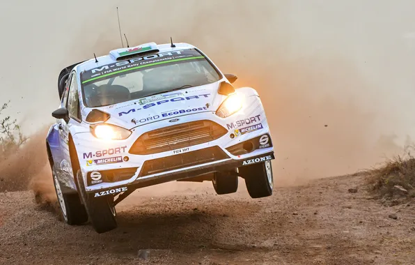 Picture Ford, Dust, Jump, Ford, Lights, WRC, Rally, Rally