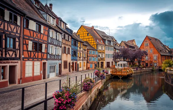 Trees, flowers, France, home, Colmar, water