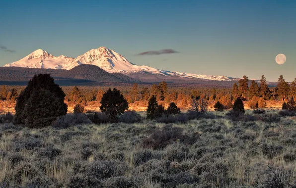 Picture the sky, mountains, the moon, desert, field, shrubs