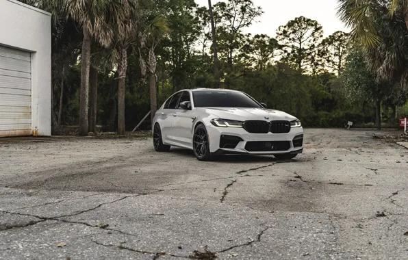 Trees, F90, M5 Competition