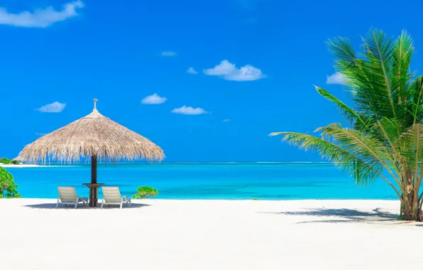 Sand, sea, beach, nature, the ocean, summer, beach, sea
