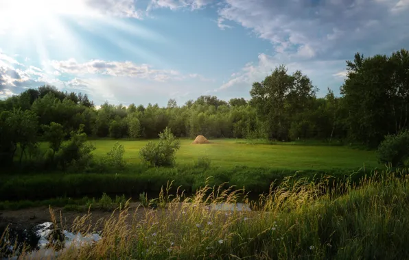 Greens, field, forest, summer, the sky, clouds, rays, light