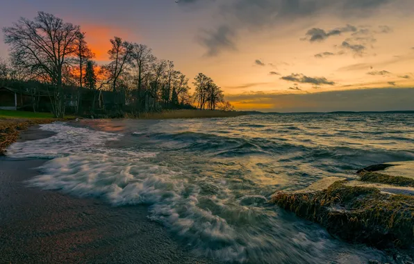 Picture sea, wave, trees, sunset, coast, home, the evening, surf