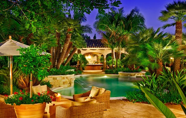 Palm trees, Villa, pool, exotic