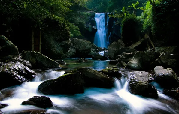 Stones, Waterfall, jungle