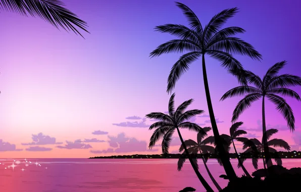 Picture palm trees, vector, the evening