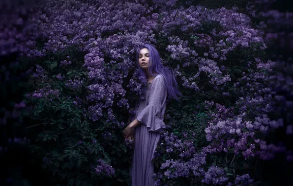 DRESS, FLOWERS, SUNDRESS, PURPLE, Adi Dekel