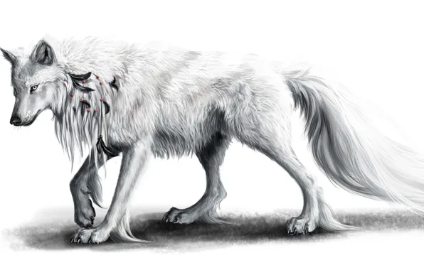 White, feathers, Wolf