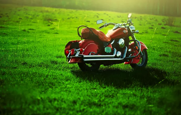 Greens, Motorcycle, lawn