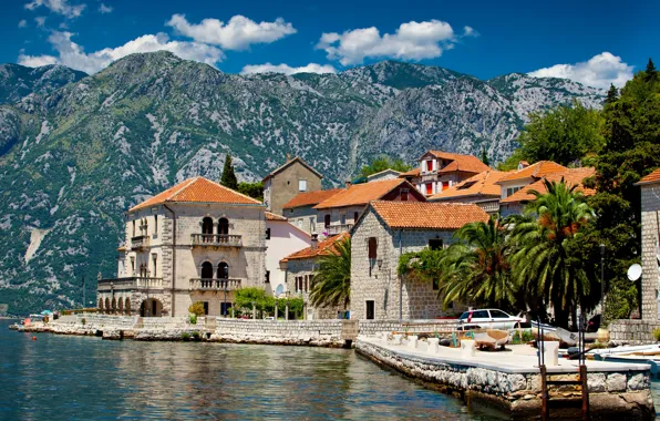 Picture mountains, palm trees, Montenegro, Perast