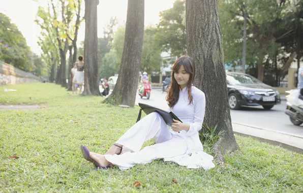 Machine, green grass, street, Asian, cars, street, asian, green grass