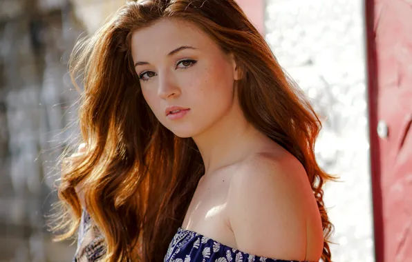 Picture girl, face, background, hair, brown hair, rose