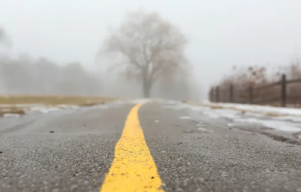Picture road, fog, background
