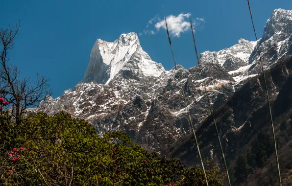 Picture the sky, snow, mountain, top, The Himalayas, Machapuchare, (6993 m)