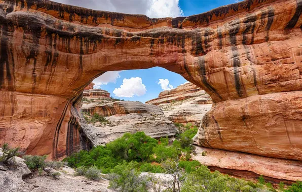 Arch, Utah, USA, State reserve natural bridges, Sipapu Bridge