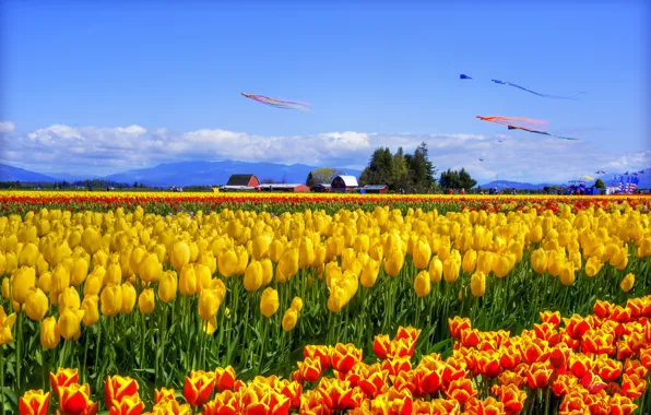 The sky, clouds, flowers, mountains, blue, hills, bright, spring