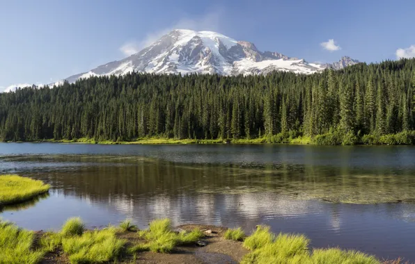 Picture forest, the sky, landscape, mountains, nature, lake, beauty