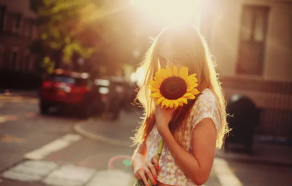 Girl, light, sunflowers