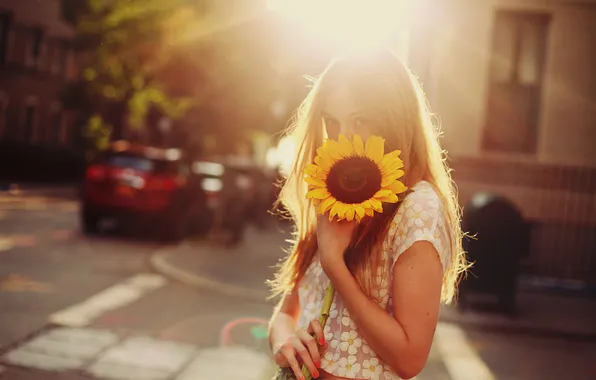 Picture girl, light, sunflower