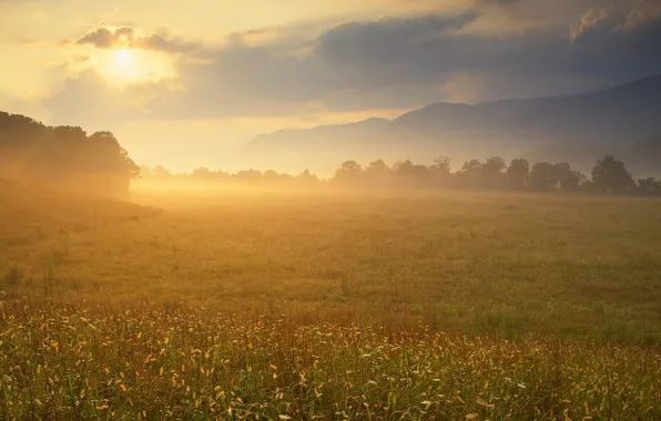 Clouds, mountains, sunrise, The sun, meadow, Tn, Great Smoky Mountain national Park