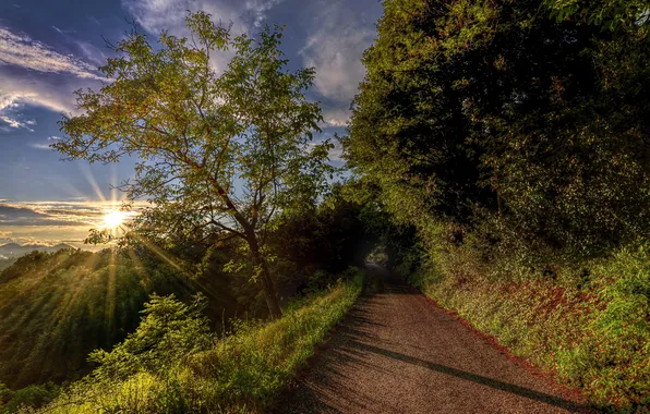 Road, the sky, grass, clouds, trees, mountains, the rays of the sun