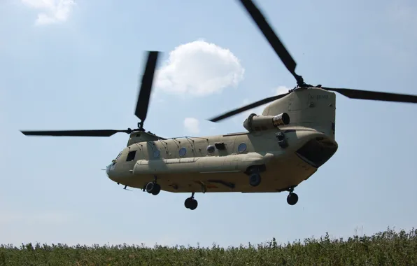 Picture the sky, clouds, Boeing, the rise, CH-47 Chinook, military transport, Chinook