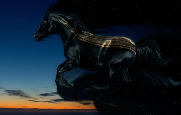 Night, Horse, the evening