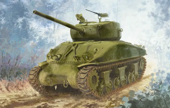 USA, Sherman, the main American medium tank, M4A1(76)W