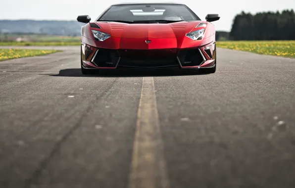 Picture road, asphalt, red, Lamborghini, red, Lamborghini, LP700-4, Aventador