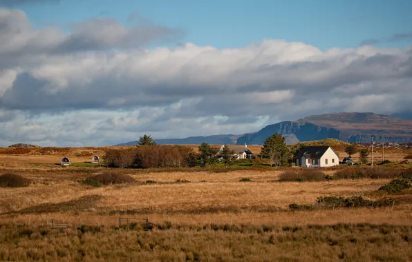 Field, autumn, the sky, grass, clouds, trees, mountains, house