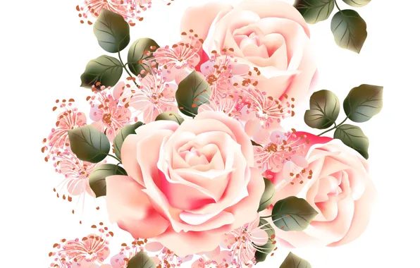 Picture white, flowers, background, roses, texture