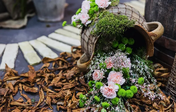 Flowers, moss, bouquet, garden, flowerbed, chrysanthemum, carnation, pot