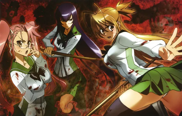 Download Highschool Of The Dead Anime Girls Wallpaper