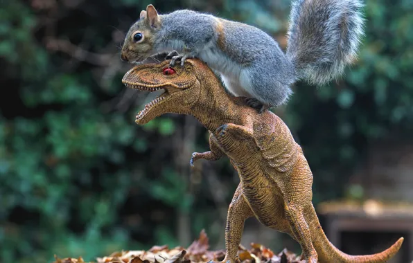 Look, face, nature, pose, background, toy, dinosaur, protein