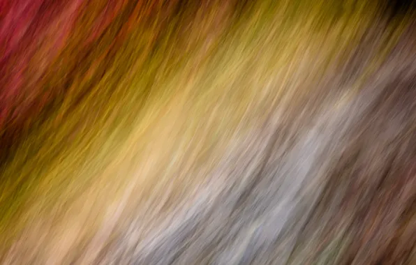 Background, color, texture