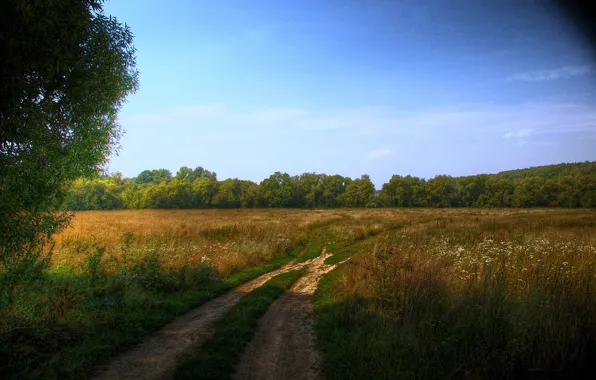 Picture road, landscape, hdr