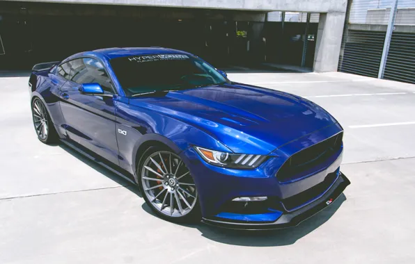 Picture Mustang, Ford, 5.0, Hyper, Motive