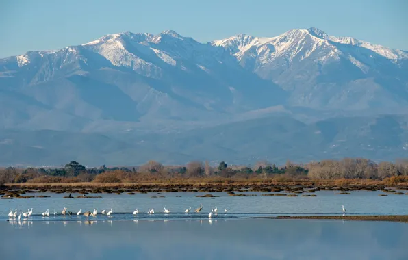 Picture the sky, the sun, trees, mountains, river, bird, France, valley