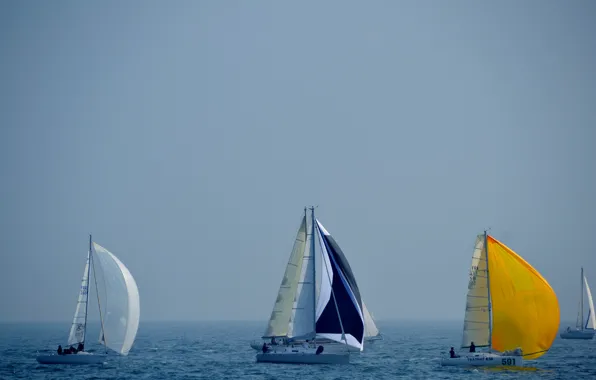 Sea, the sky, boat, yacht, sail